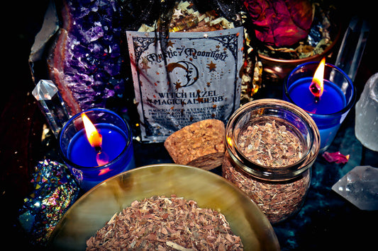 Witch Hazel Bark Magick Herb Apothecary Boost IQ Wisdom Healing Wealth
