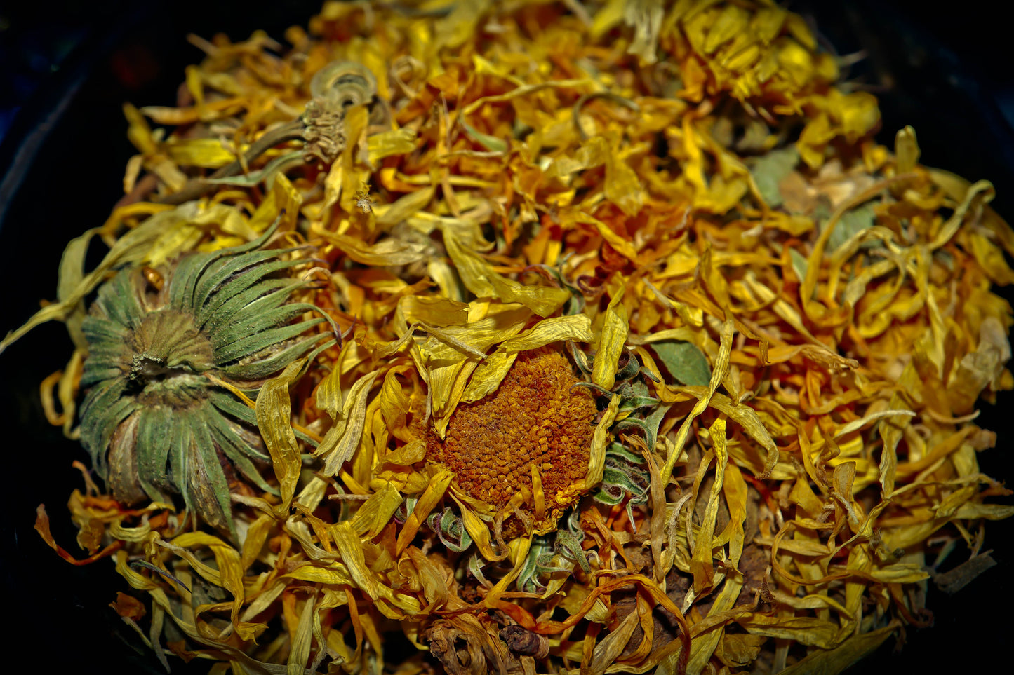 CALENDULA Magickal Spellcast Dried Herbs ~ Spirit Offering, Amplify Blessings & Wishes, Sun Energy, Healing & Strength! Premium Apothecary Glass Bottle w/ Cork